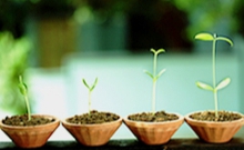 AUDIO: Ska spricht im DRadio Kultur zu "Privatisierung der Grundversorgung" über Handelsabkommen wie TiSa