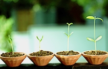 DEVE Blitzlicht Mai 2012 - Neues aus dem Ausschuss für Entwicklung