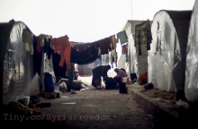 Skas Rede zu Nahrungsmittelkrise in Syrien